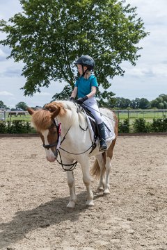 Bild 148 - Pony Akademie Turnier